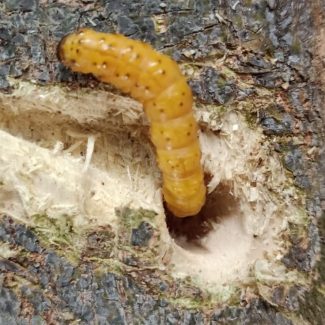 54aaab0e-d689-45ba-ba01-761abfde